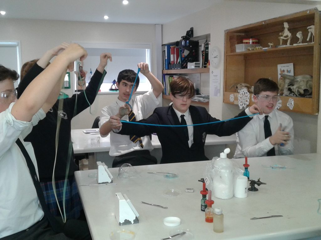 students pulling a blue substance