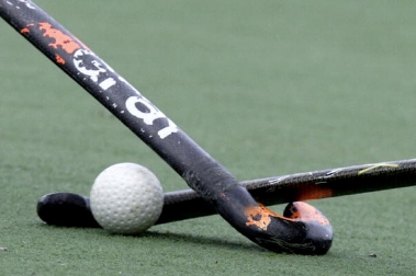 hockey sticks