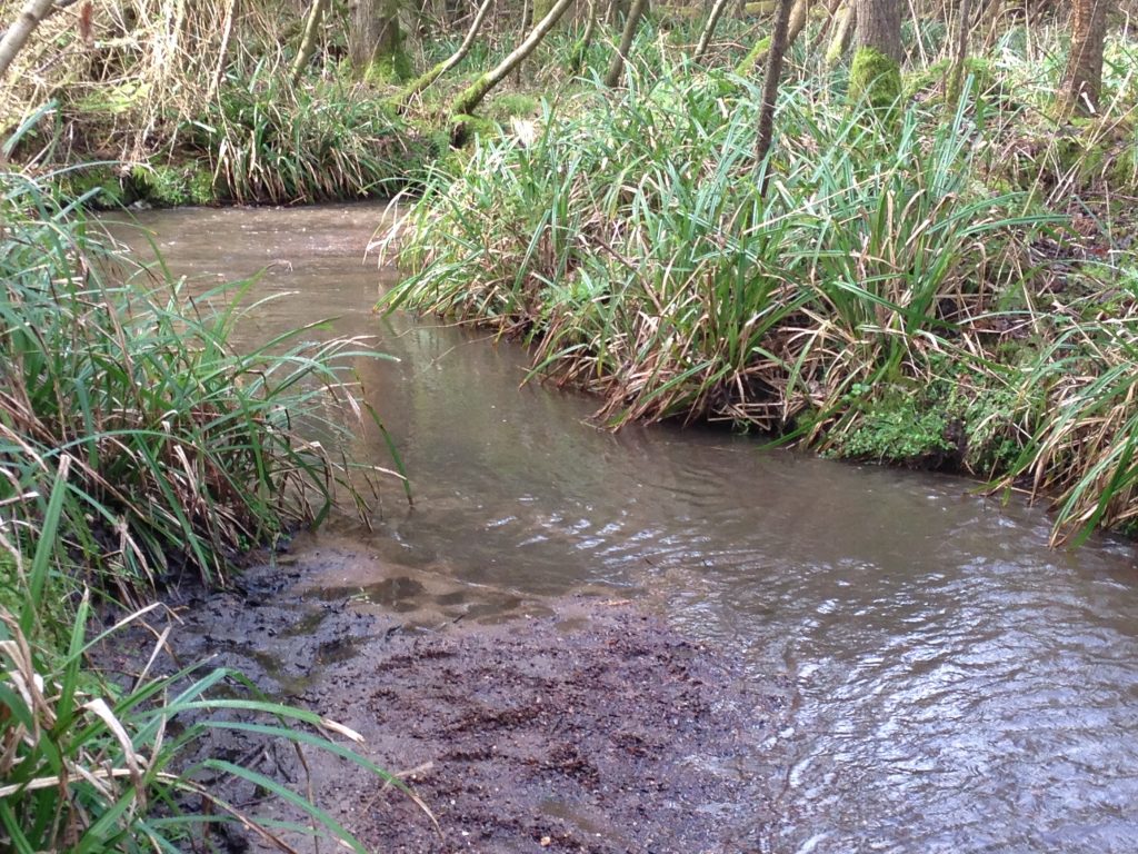 small stream