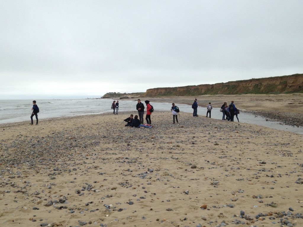 students at the beach
