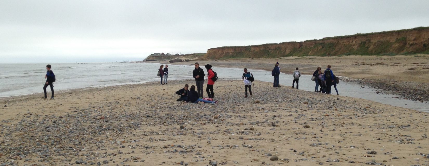 students at the beach
