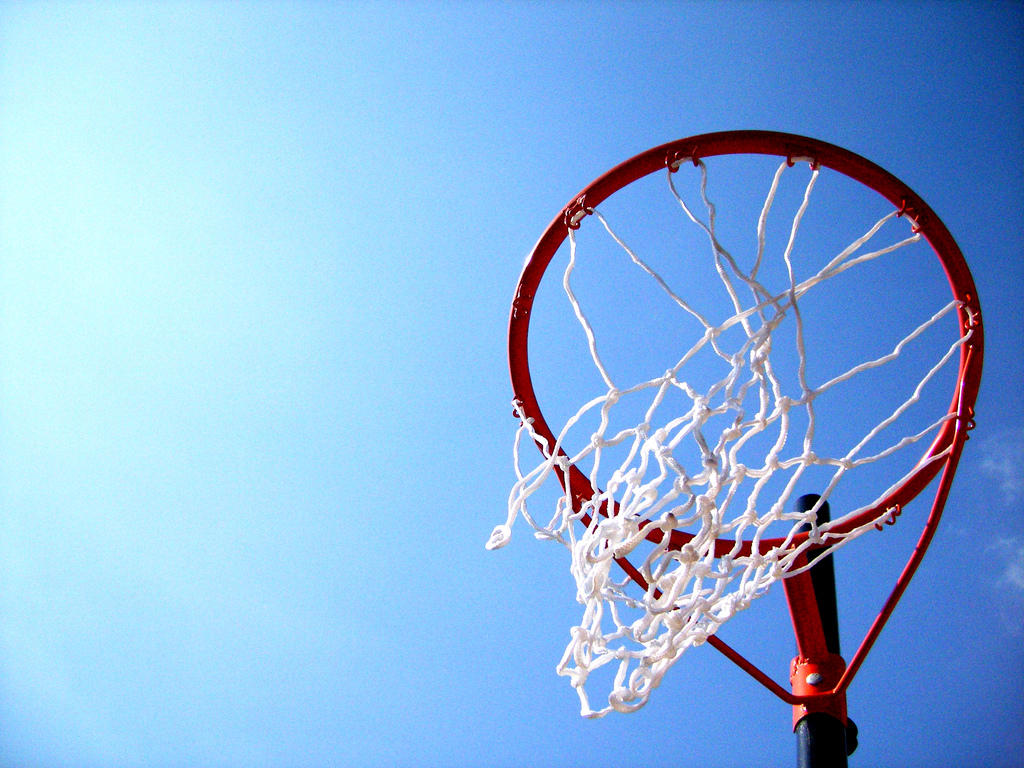 net ball net