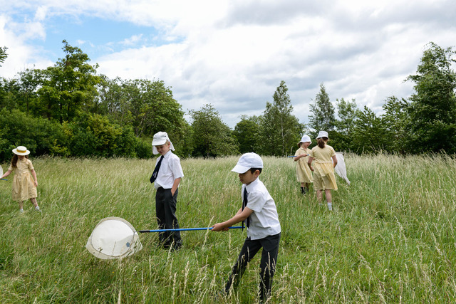 children with giant nets on a field