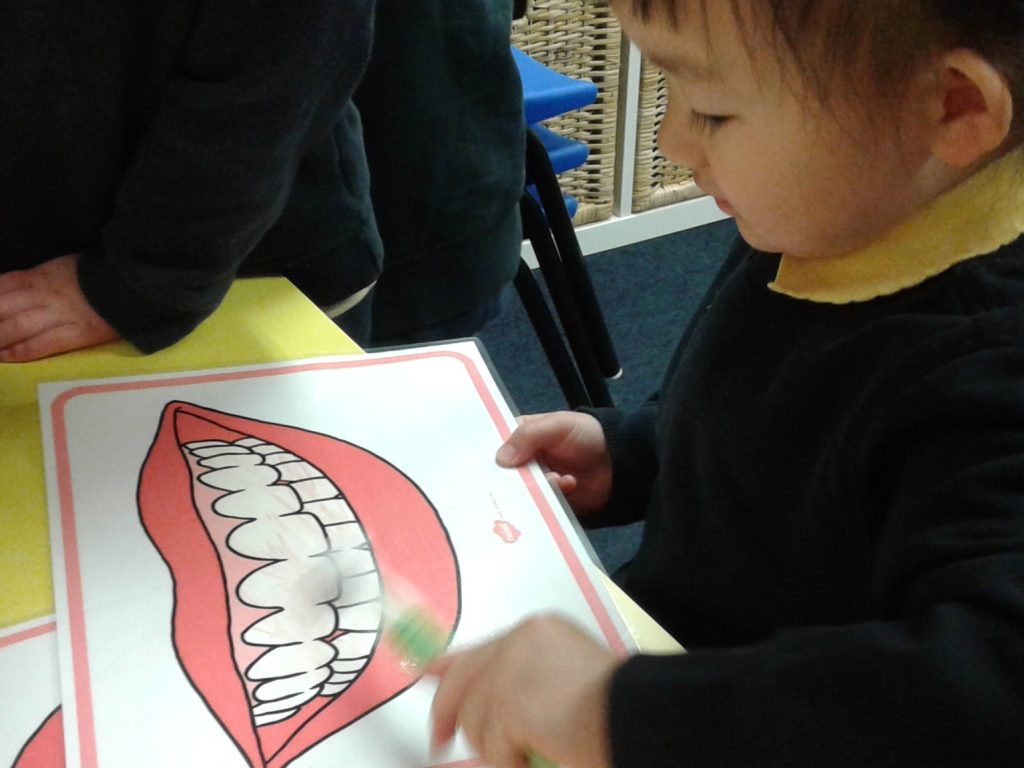 Child looking at a diagram of a mouth