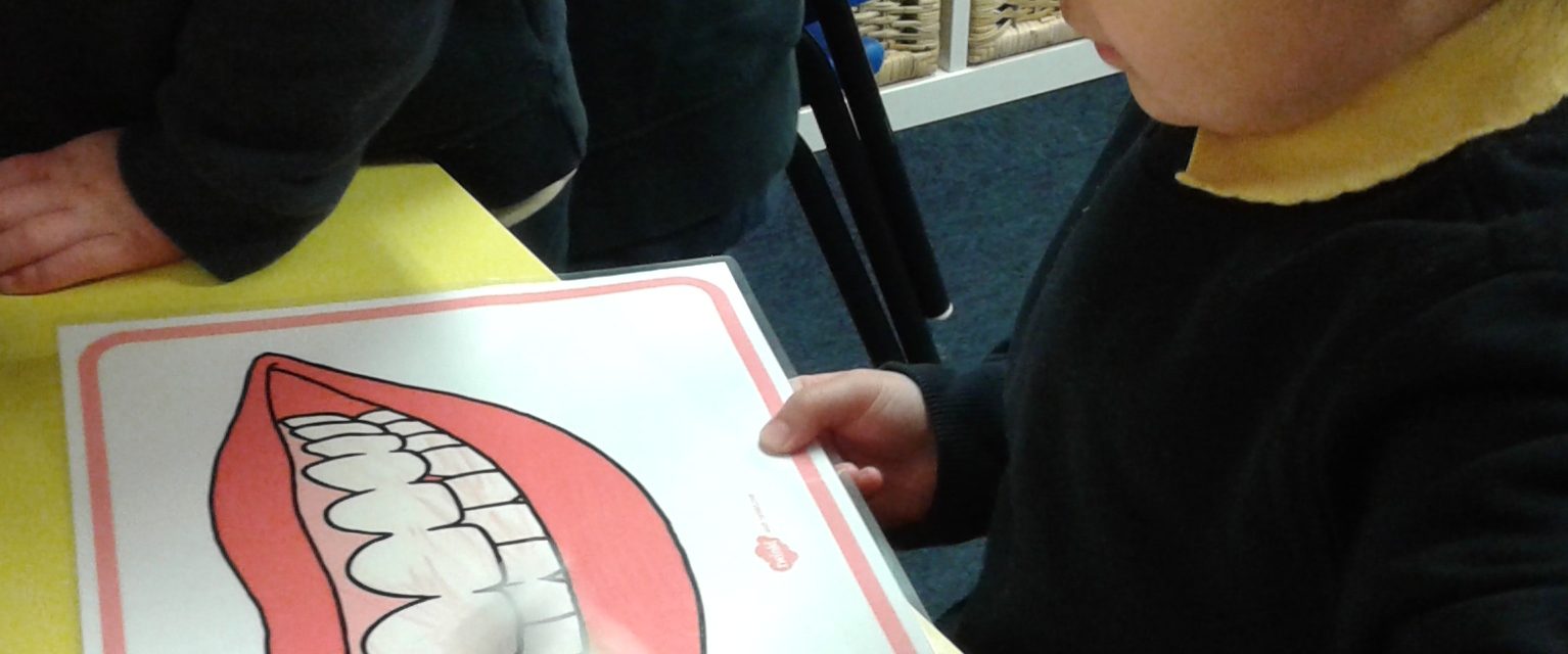 Child looking at a diagram of a mouth