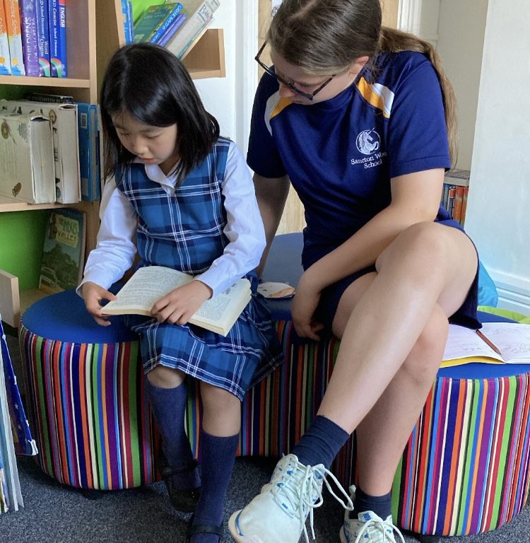 pupil reading to an older pupil