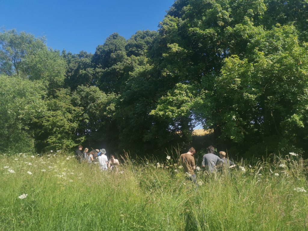 children out in a field