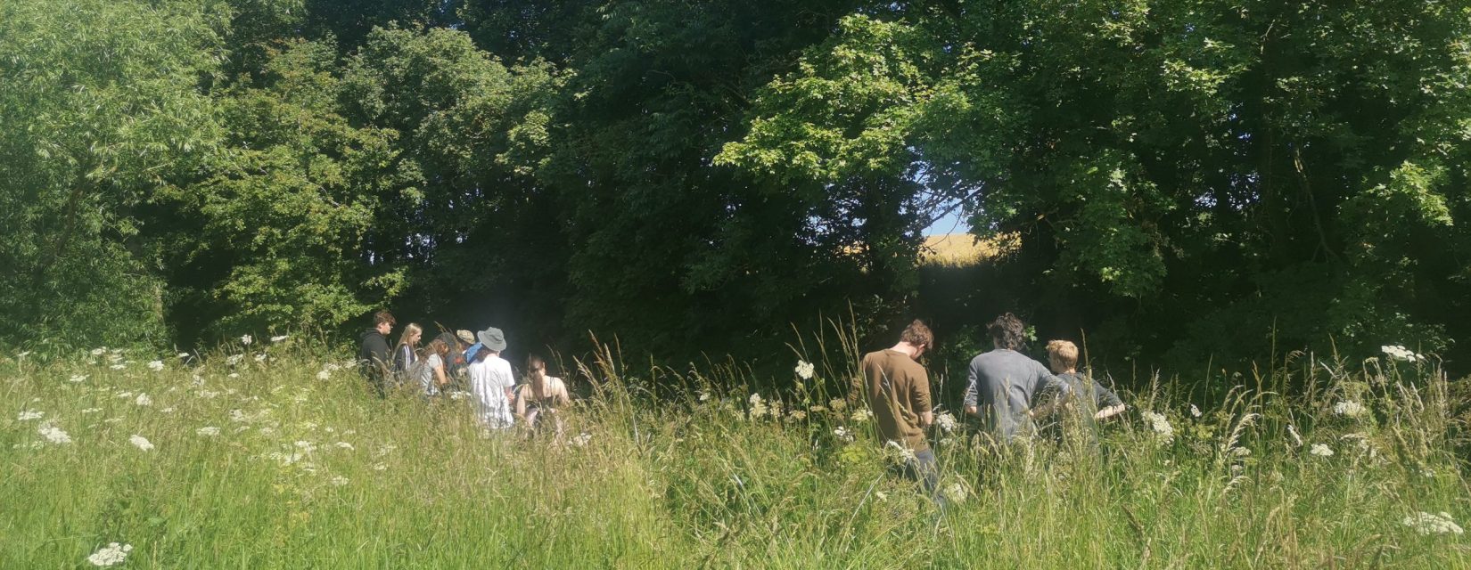 children out in a field