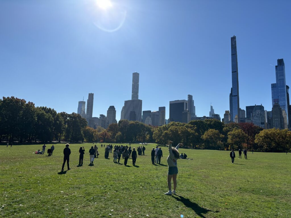 students in new york