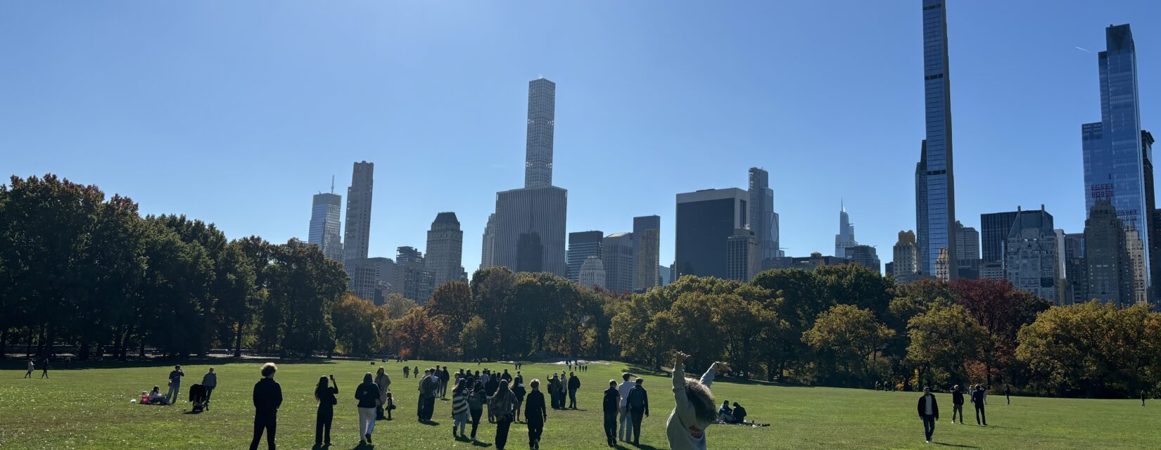 students in new york